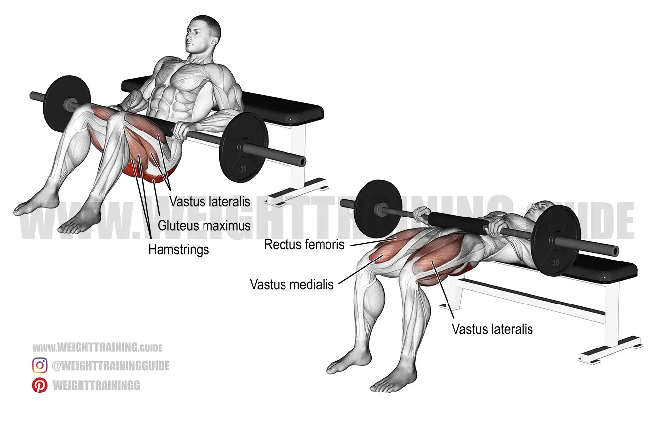 Barbell hip thrust exercise