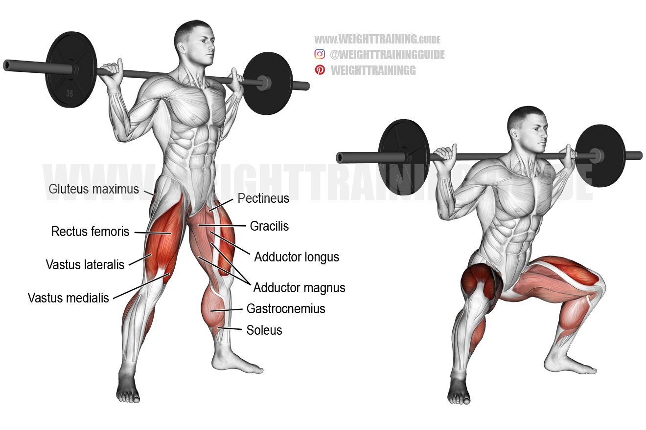 Barbell sumo squat exercise instructions and video Weight