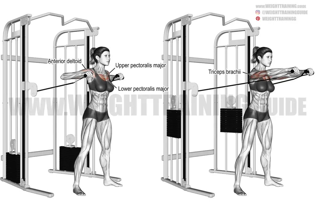 Standing cable chest press instructions and video | Weight Training Guide