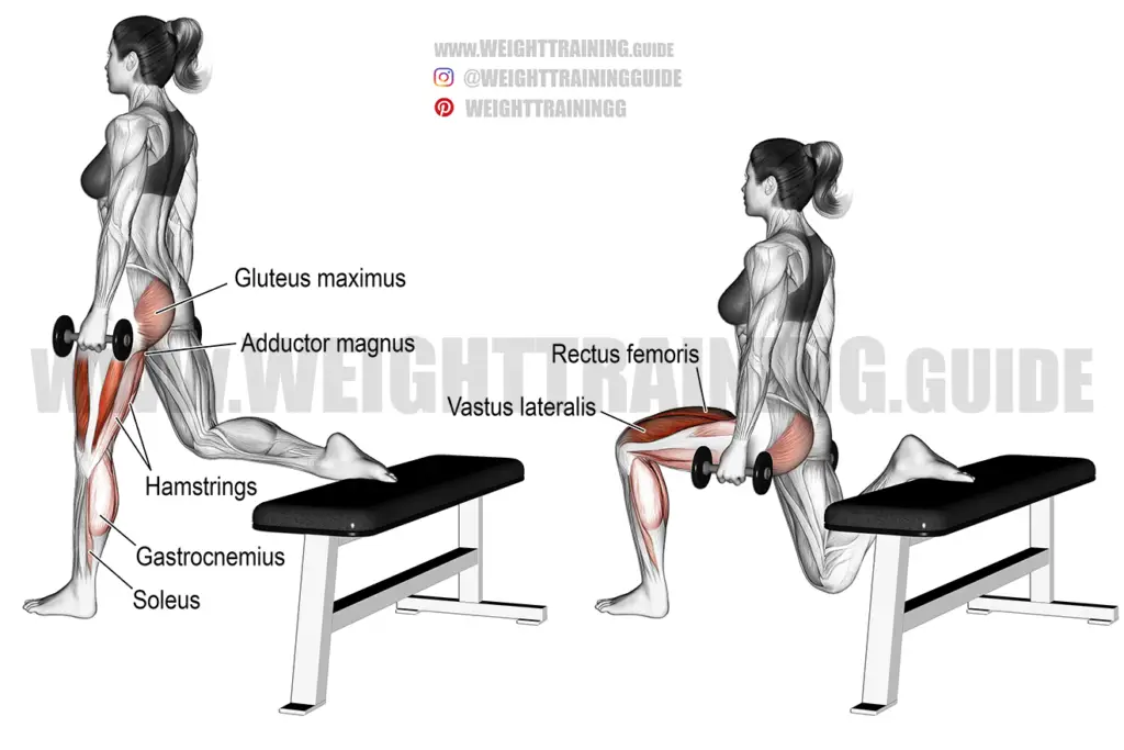 Dumbbell one-leg split squat exercise instructions and video