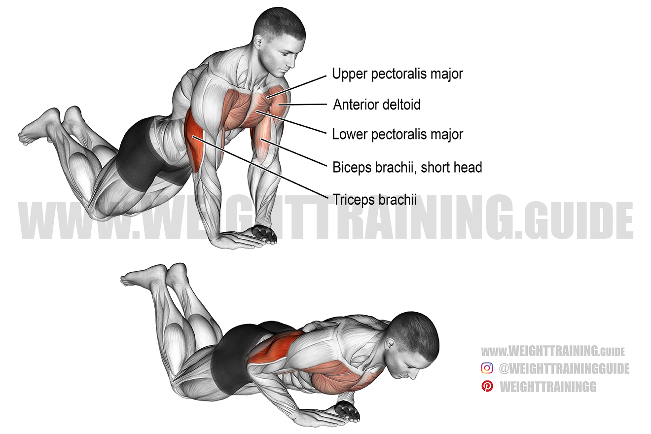 Bicycle Crunch Exercise Instructions And Video Weight Training Guide