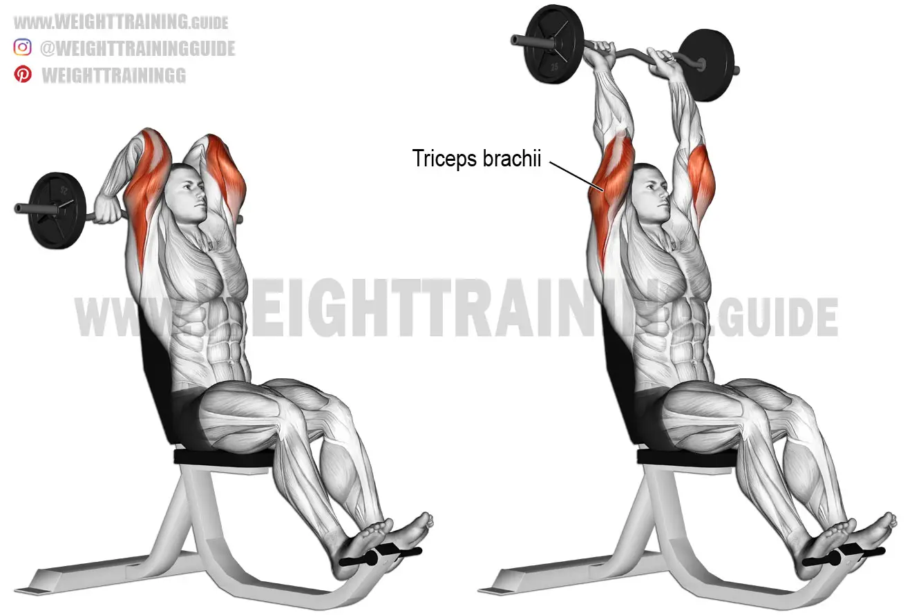 Seated overhead EZ bar triceps extension exercise