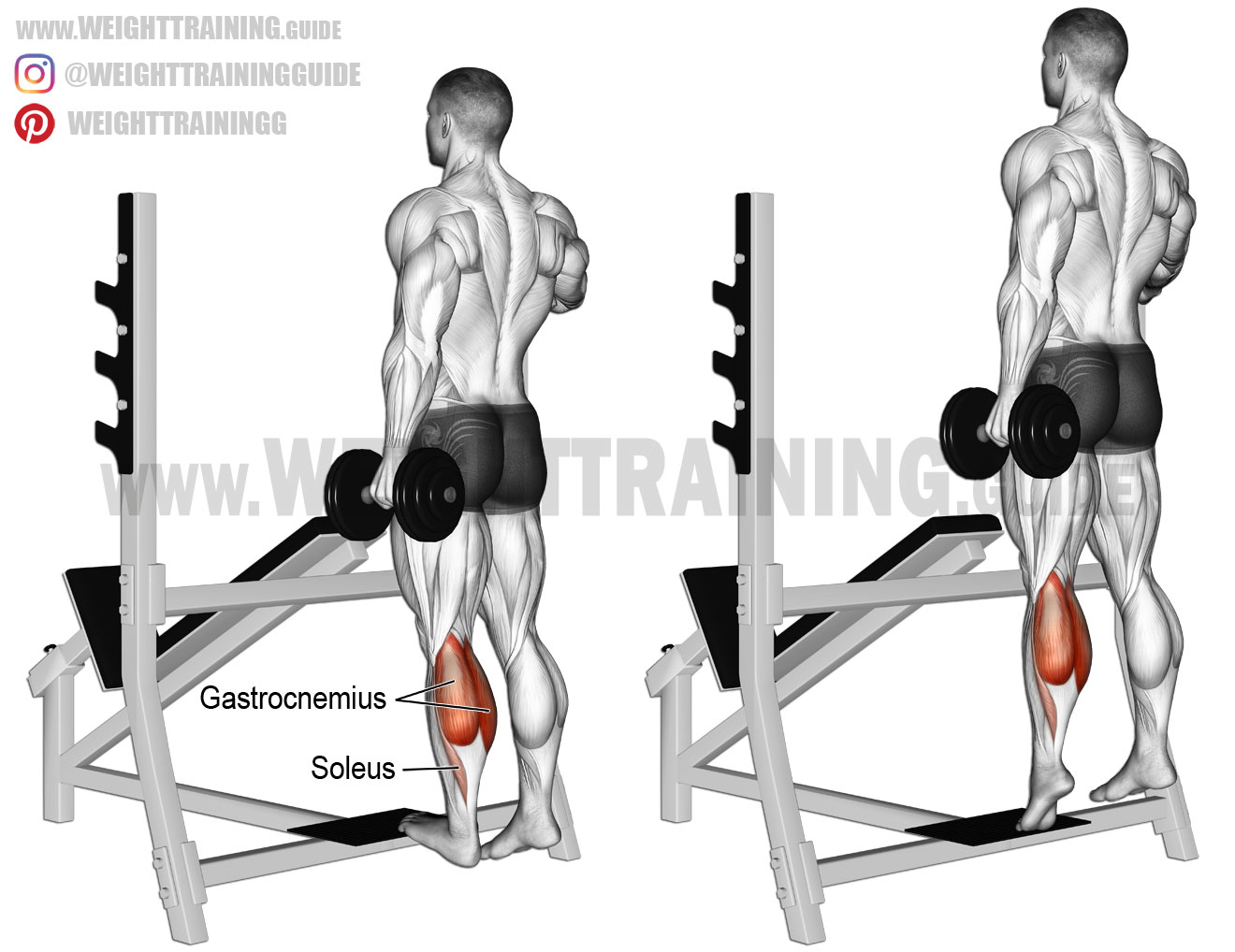 Standing dumbbell one-leg calf raise exercise instructions ...