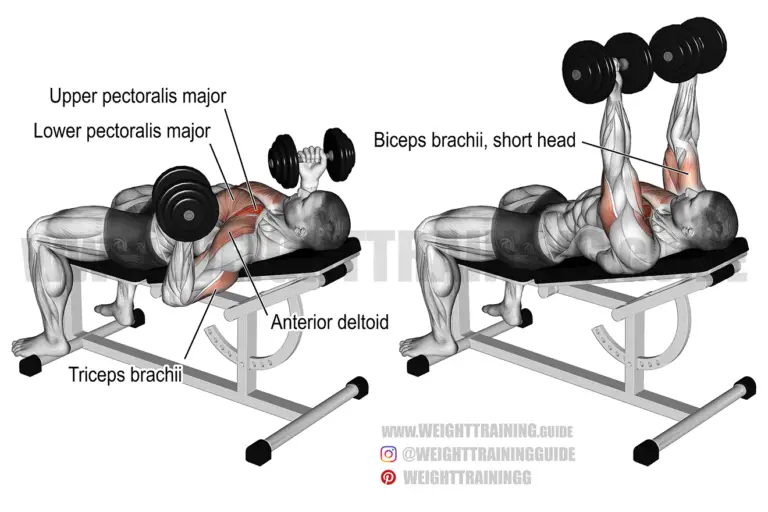 Incline reverse-grip dumbbell bench press
