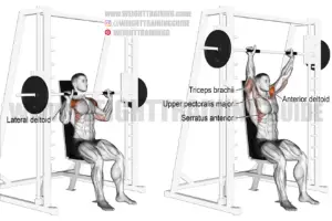 Smith machine seated overhead press exercise instructions and video