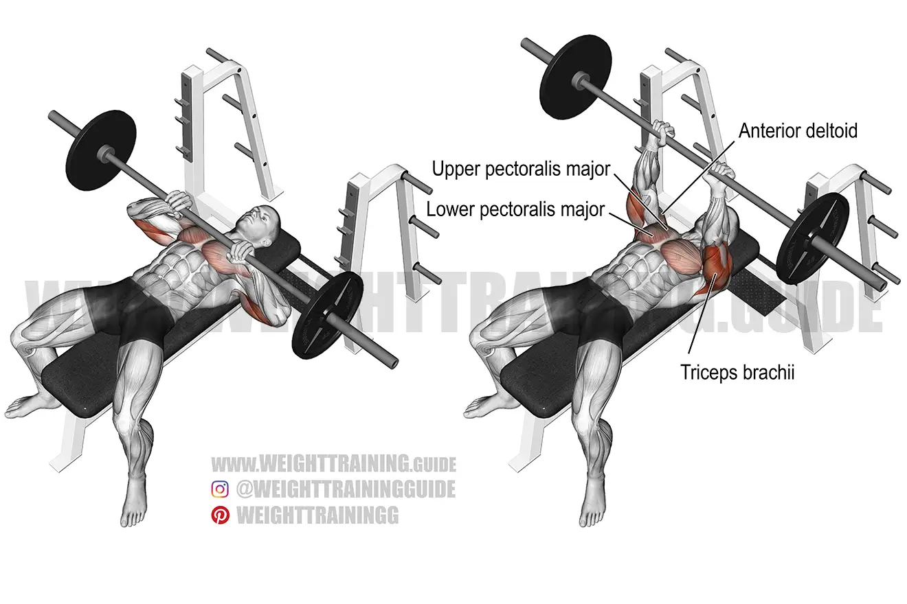 Close-grip barbell bench press exercise