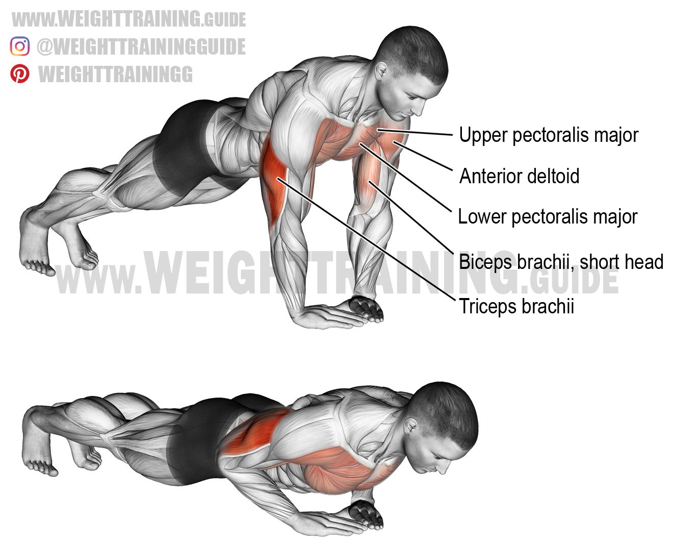 Diamond push-up exercise instructions 