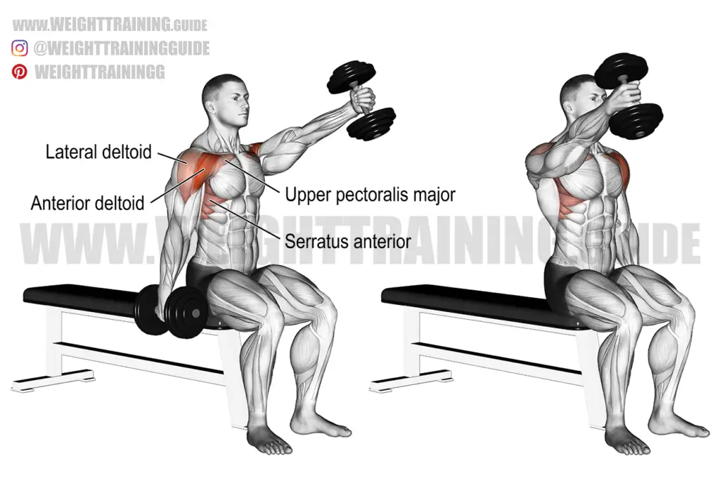 Seated alternating dumbbell front raise exercise instructions and video