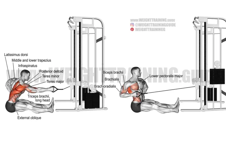 Seated twisting cable row
