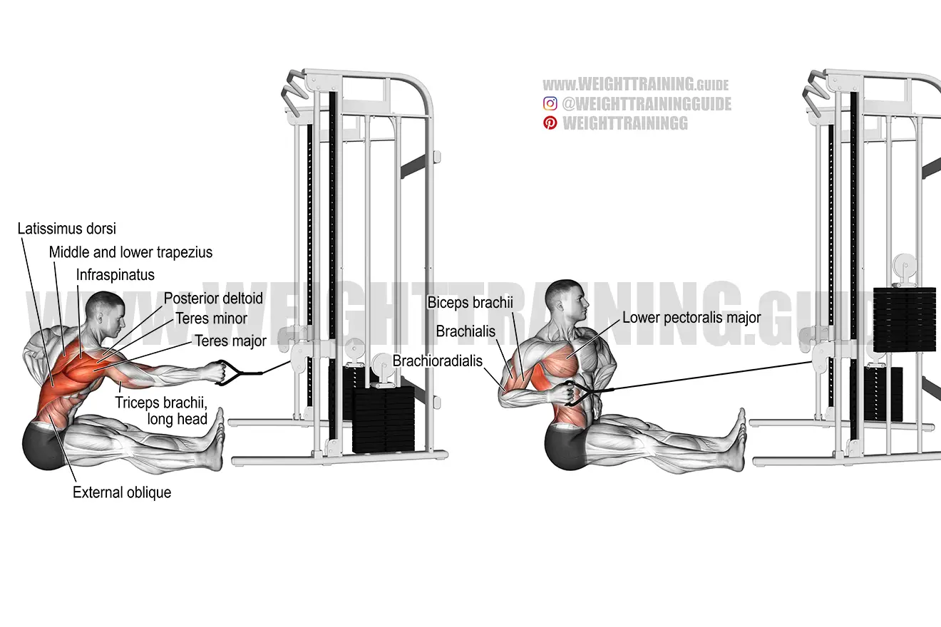 Seated twisting cable row exercise