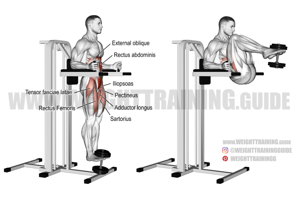 Weighted captain's chair leg and hip raise exercise instructions and video