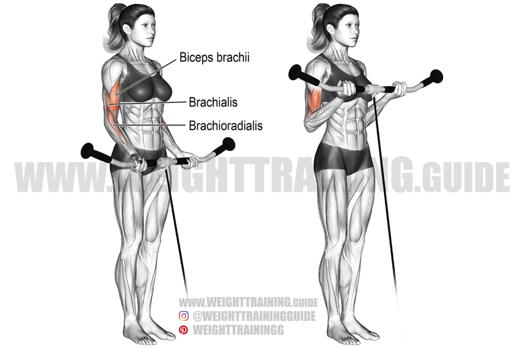 Cable wood chop exercise instructions and video | Weight Training Guide