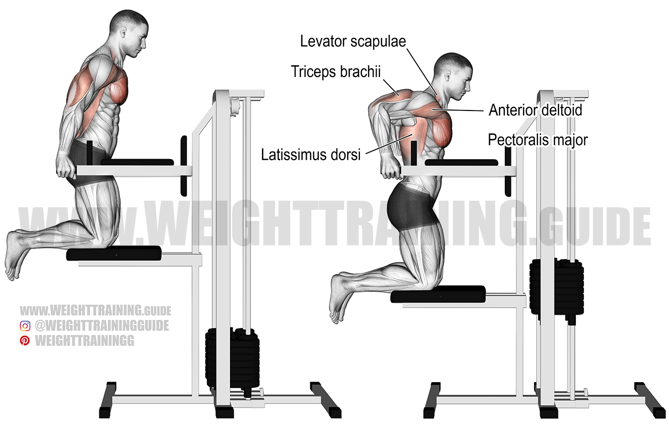 Tricep Dips Nas l Yap l r