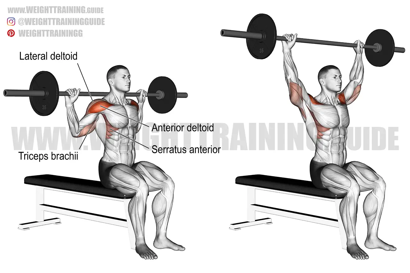 Seated behind-the-neck barbell shoulder press exercise