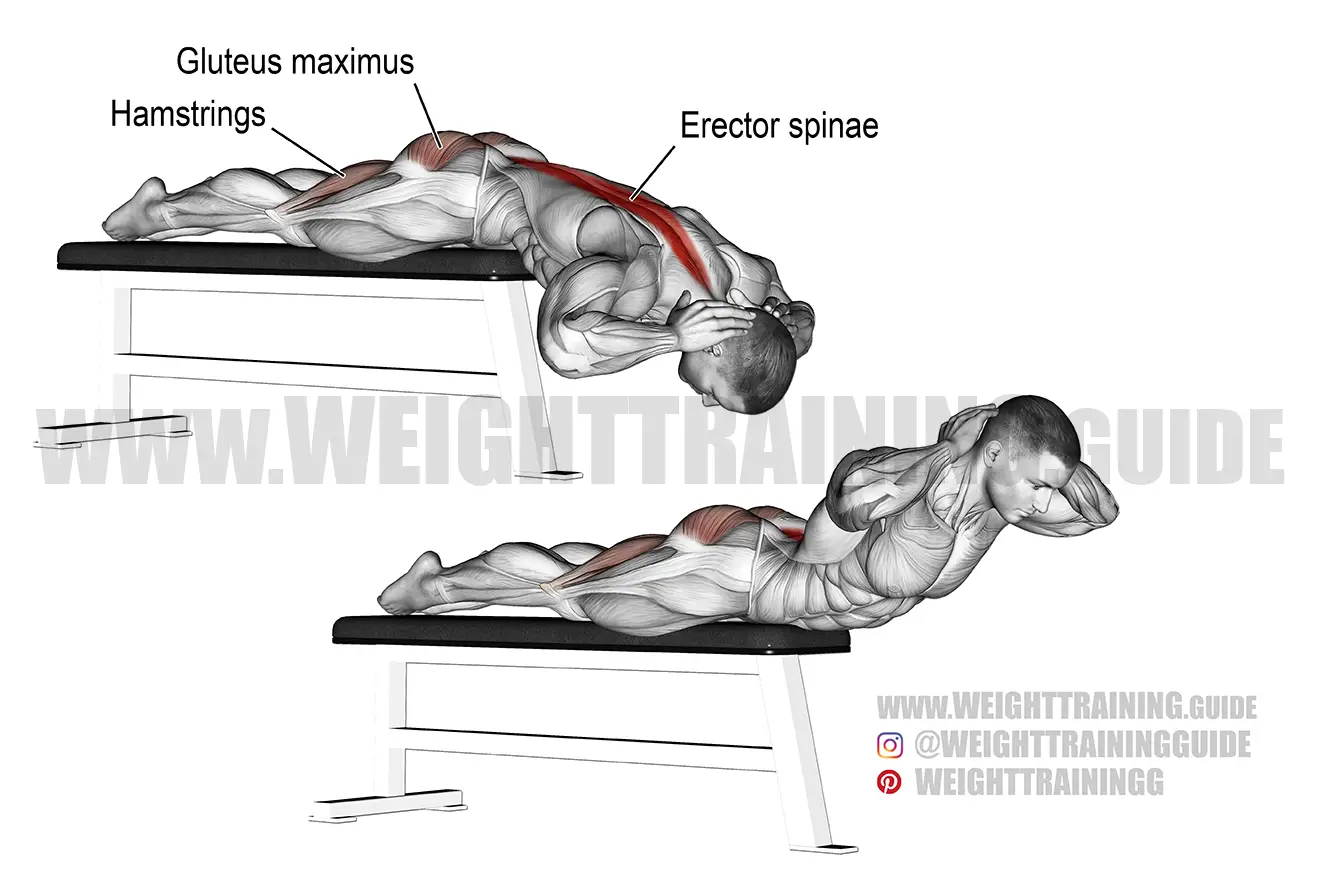 Flat bench hyperextension exercise
