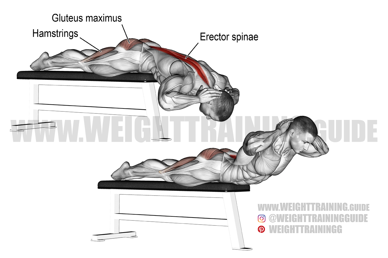 Hyperextension Exercise