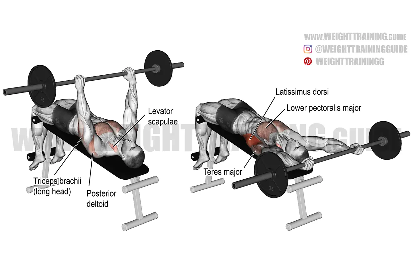 Decline barbell pullover exercise