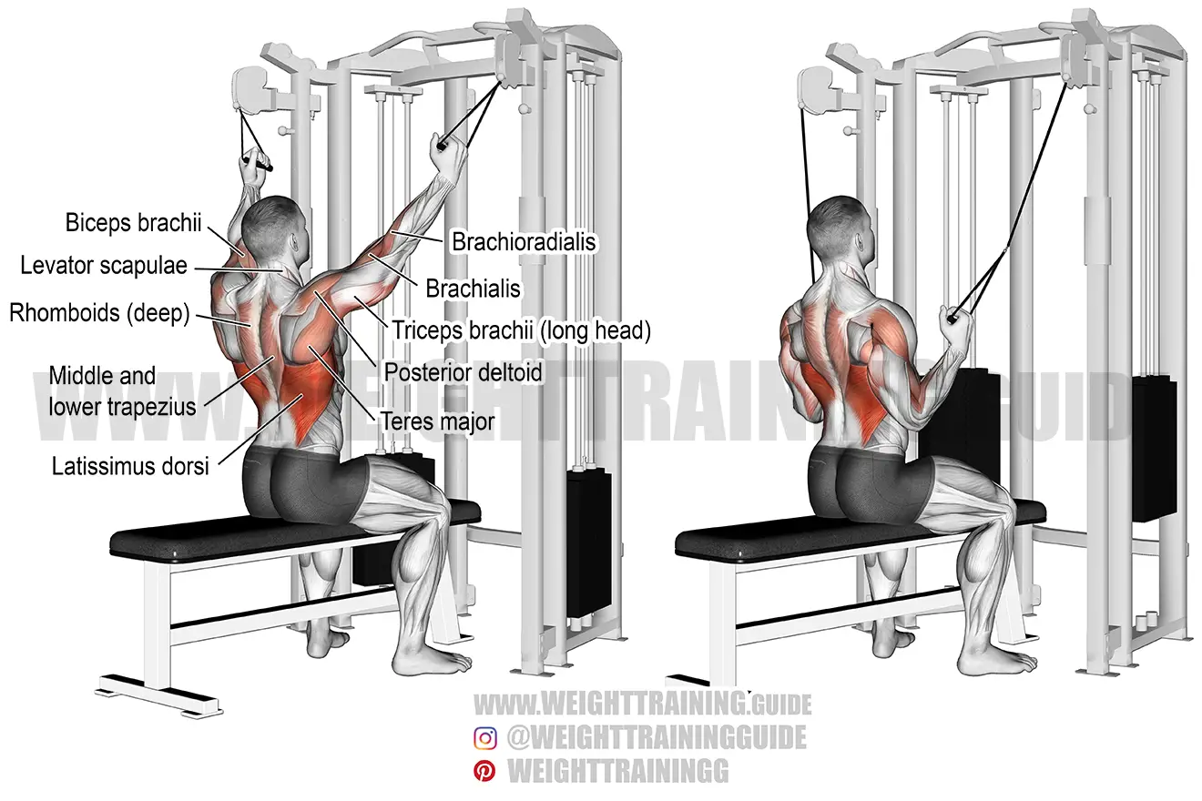 Double cable neutral-grip lat pull-down exercise