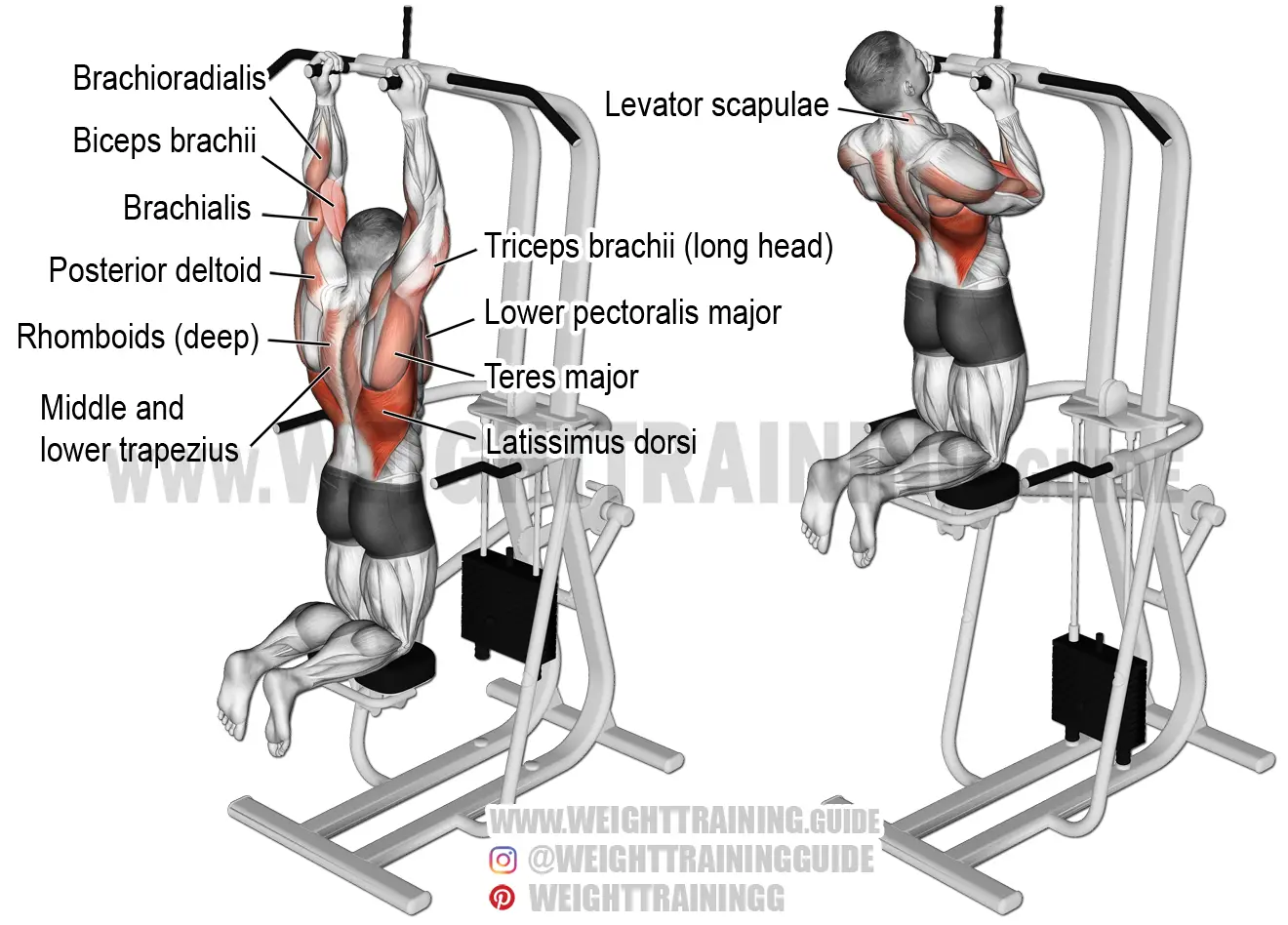 Machine-assisted close neutral-grip pull-up exercise instructions and video