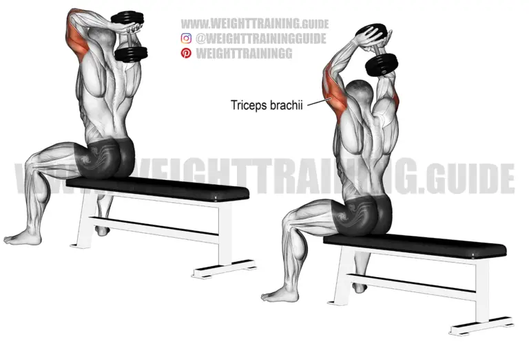 Seated dumbbell overhead triceps extension