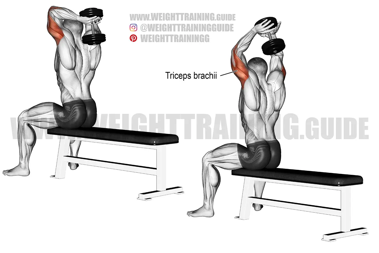 Seated dumbbell overhead triceps extension exercise instruction and video