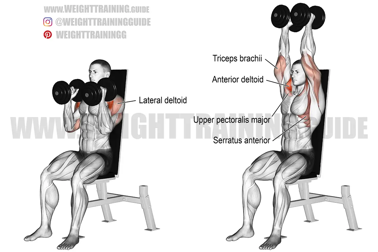 Seated neutral-grip dumbbell overhead press exercise