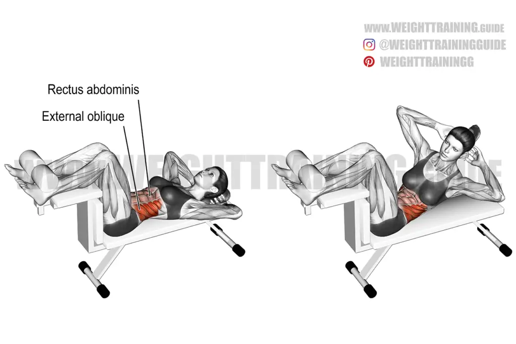 Barbell rack pull exercise instructions and video | Weight Training Guide