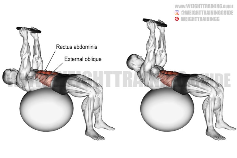 Weighted stability ball crunch