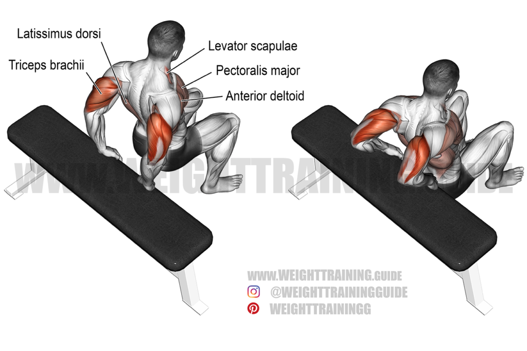 Seated leg raise exercise instructions and video | Weight Training Guide