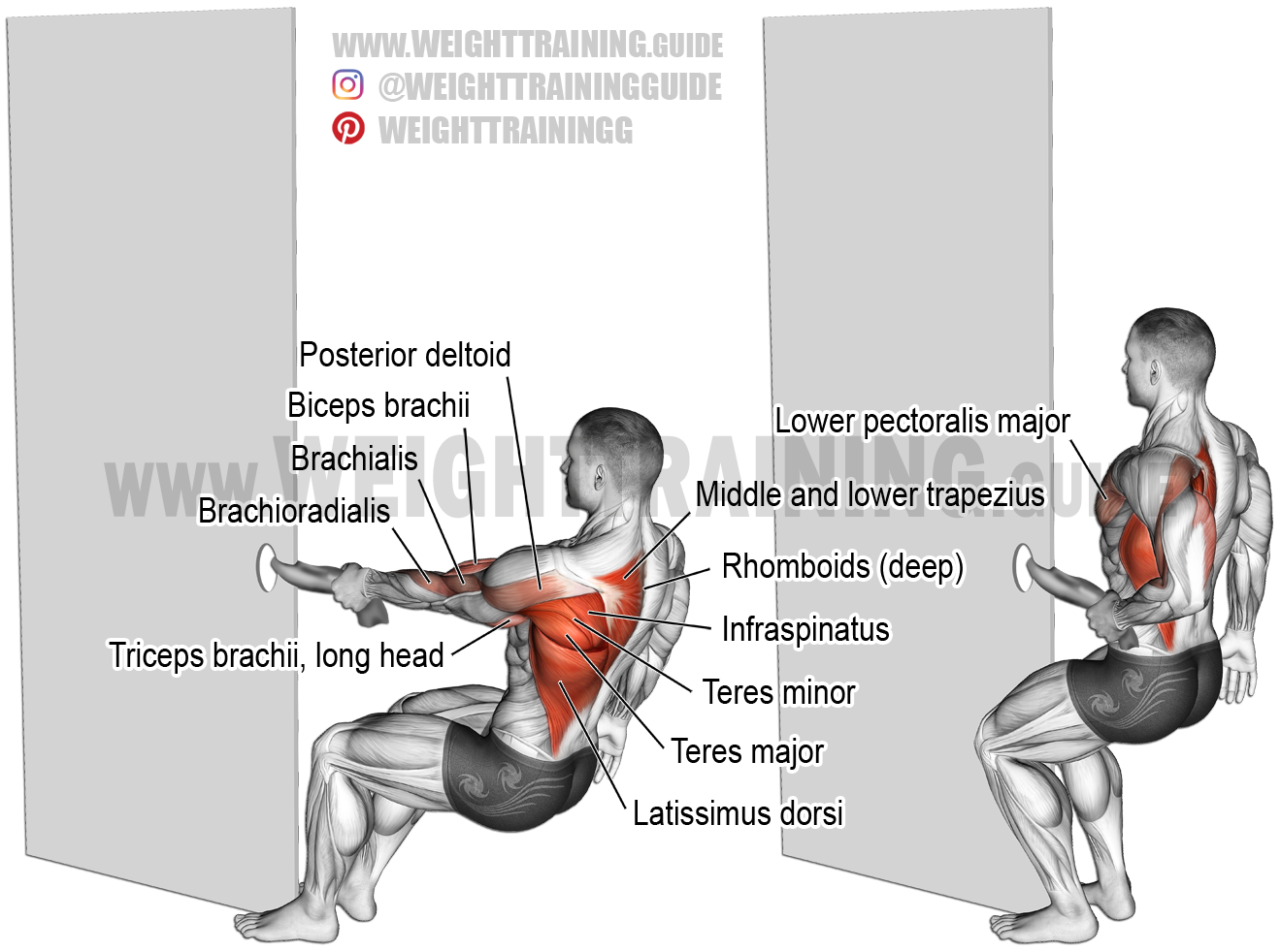 One arm Towel Row Exercise Instructions And Video Weight Training Guide