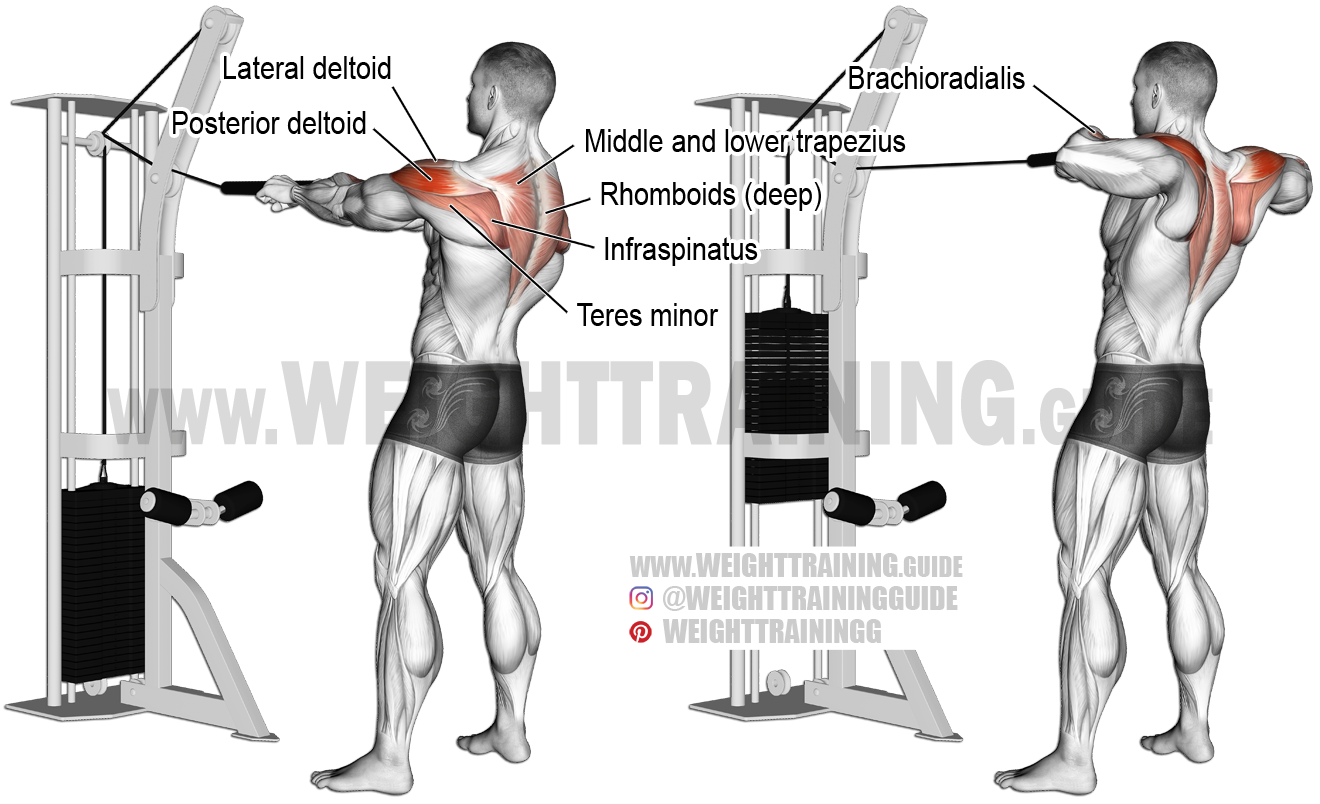 back pulls while lying on side