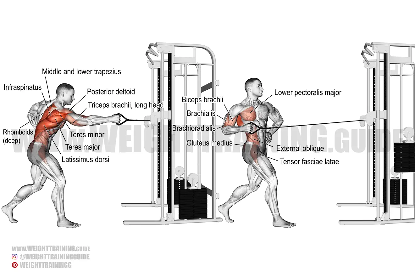 Standing twisting cable row exercise