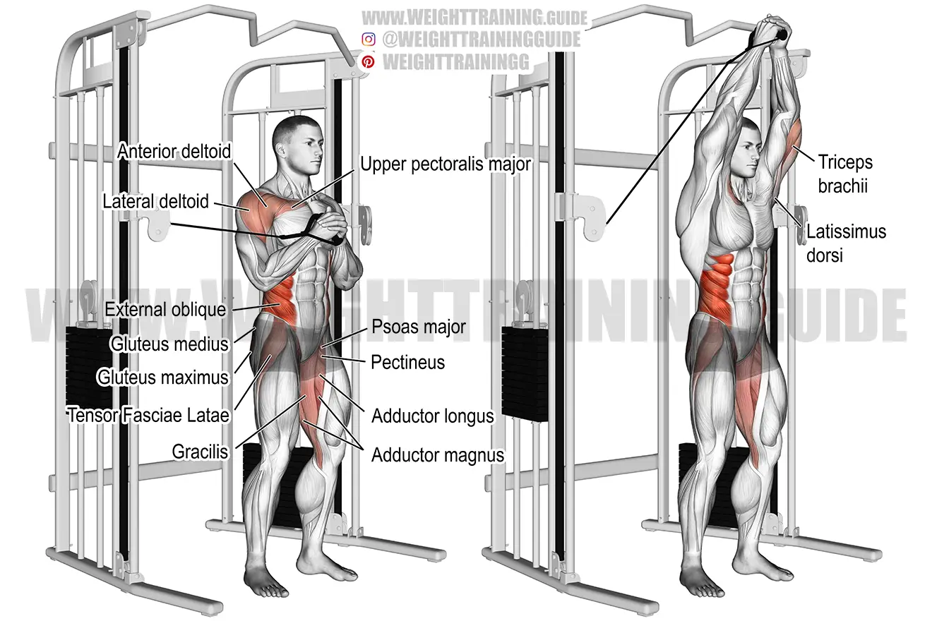 Cable vertical Pallof press exercise