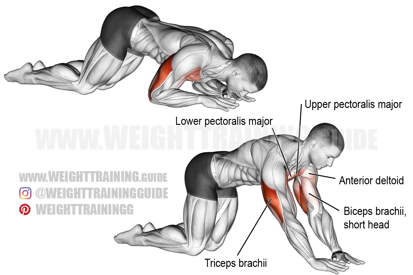 Kneeling bodyweight triceps extension exercise