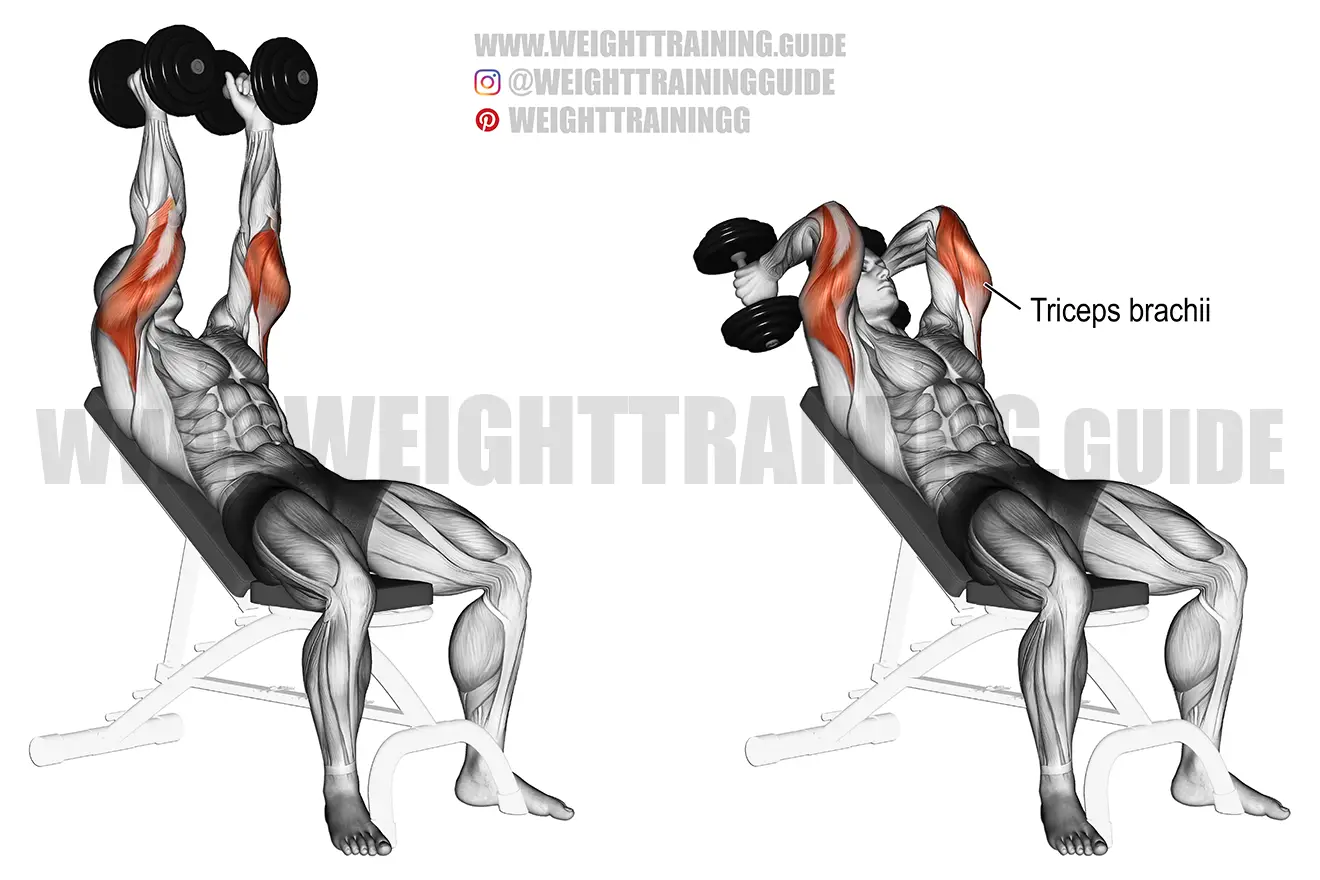 Incline dumbbell triceps extension exercise