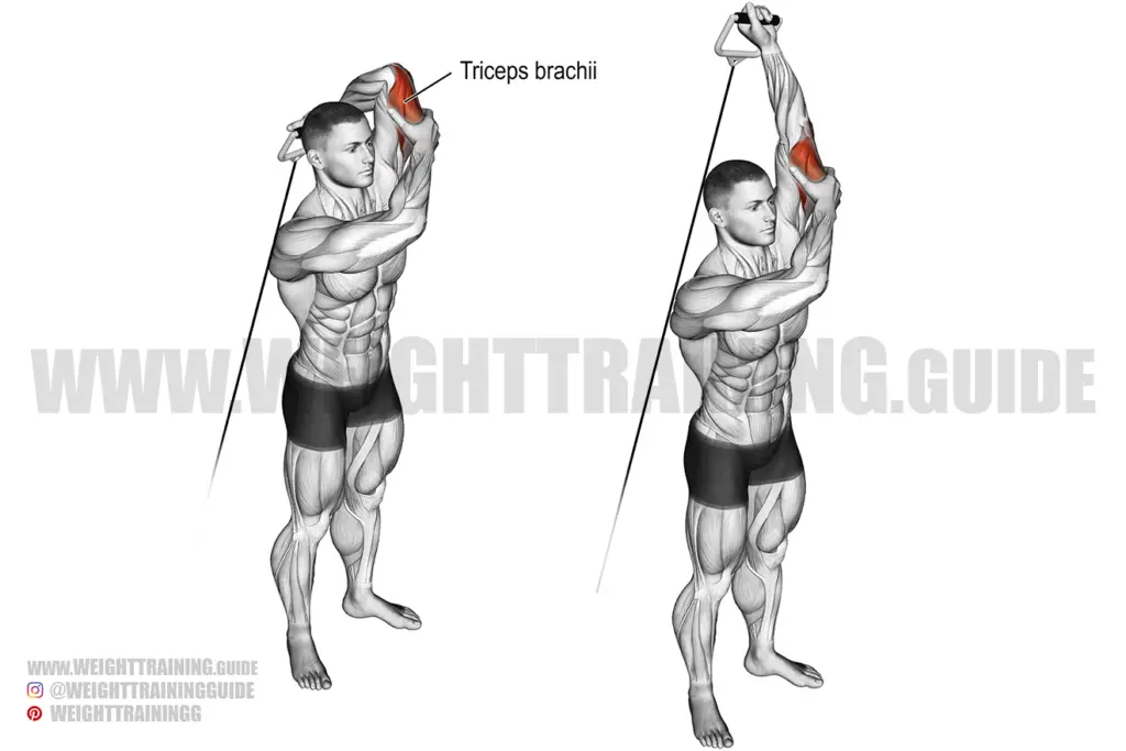 Standing overhead one-arm cable triceps extension instructions and video