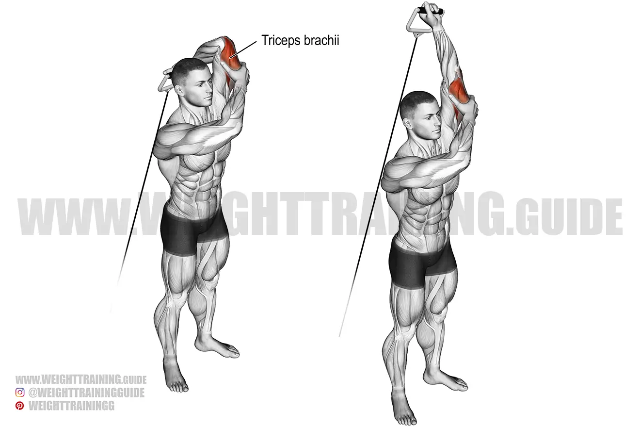 standing overhead one-arm cable triceps extension exercise