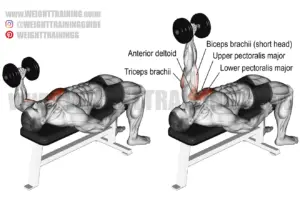 One-arm hammer-grip dumbbell bench press instructions and video