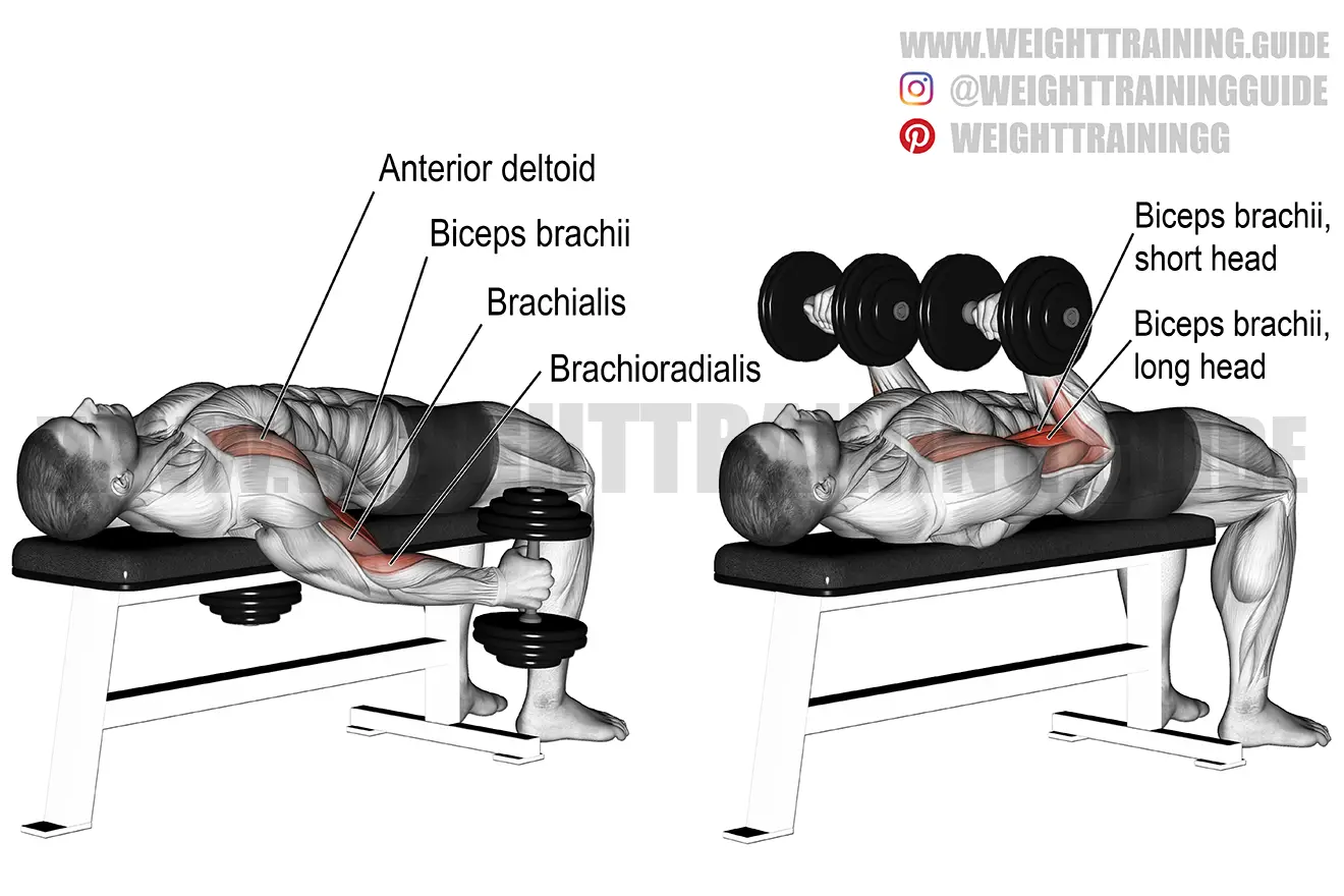 Supine dumbbell curl exercise