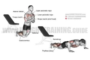 Inverse leg curl exercise instructions and video | Weight Training Guide