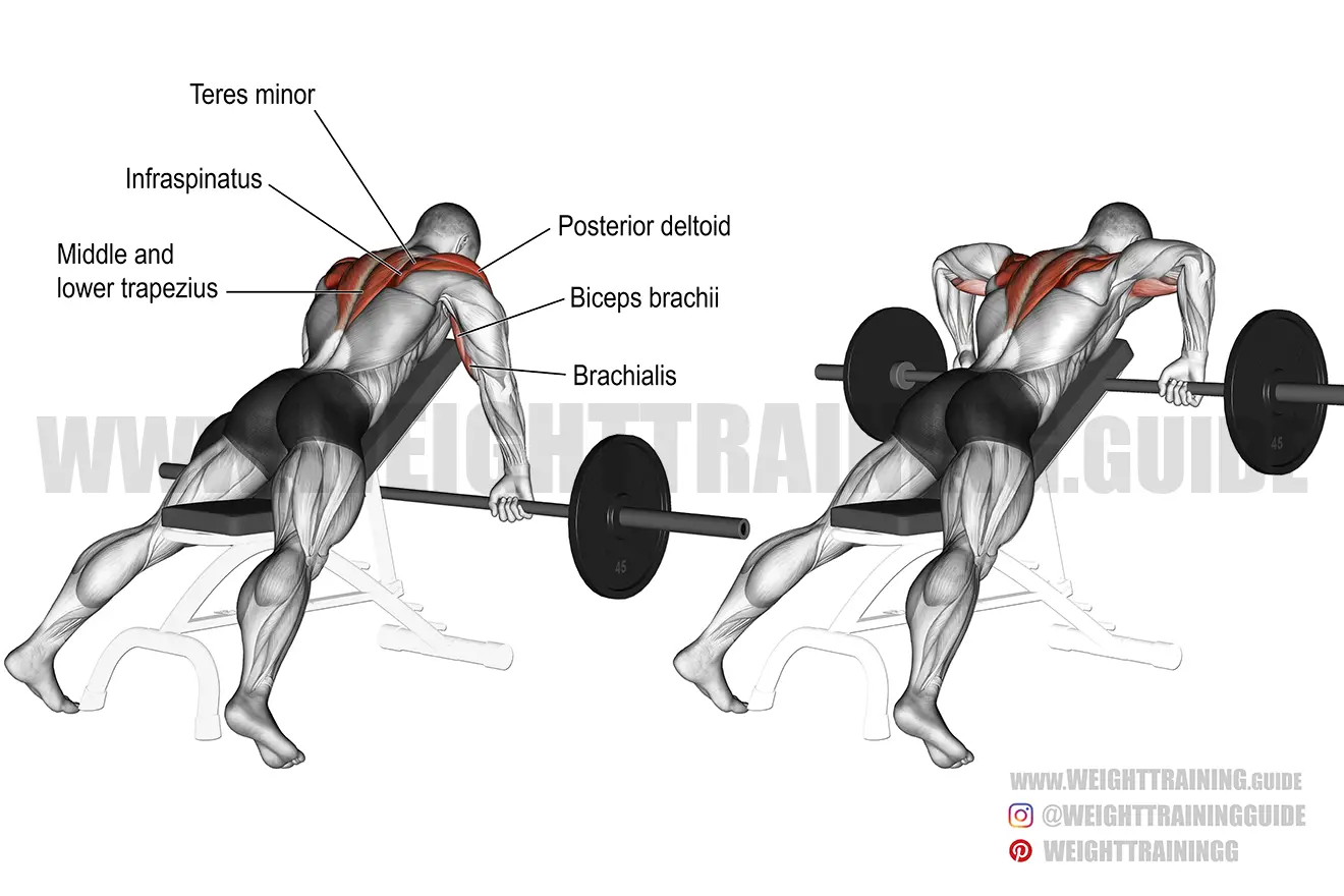 Prone incline wide-grip upright row exercise