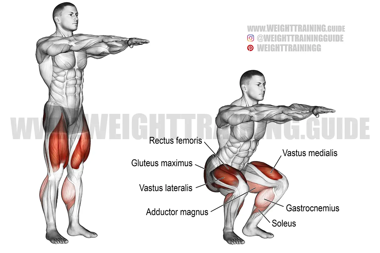 Bodyweight squat exercise