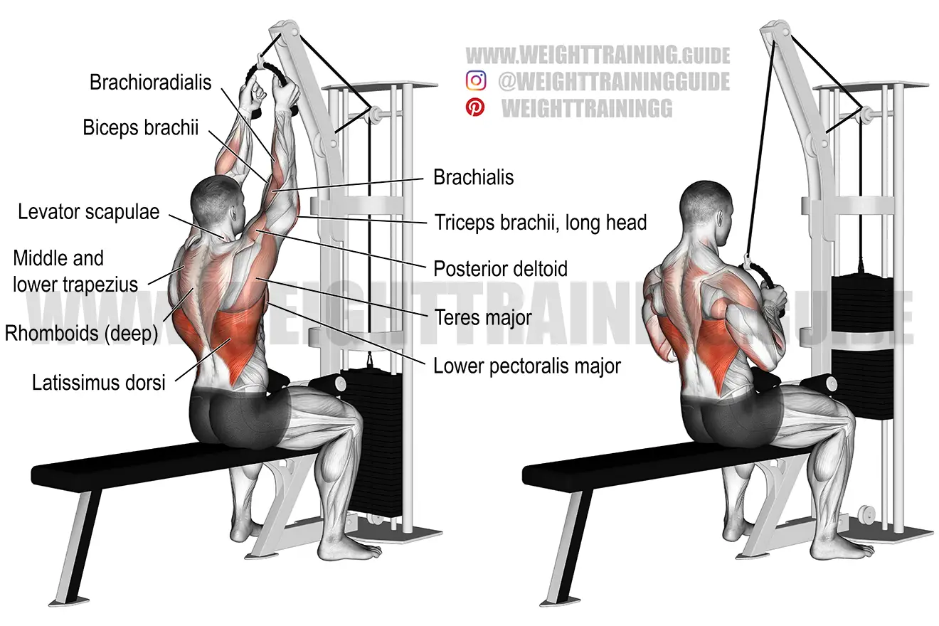 Rope lat pull-down exercise