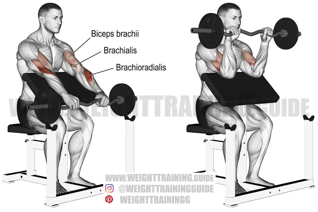 Barbell sumo deadlift instructions and video | Weight Training Guide