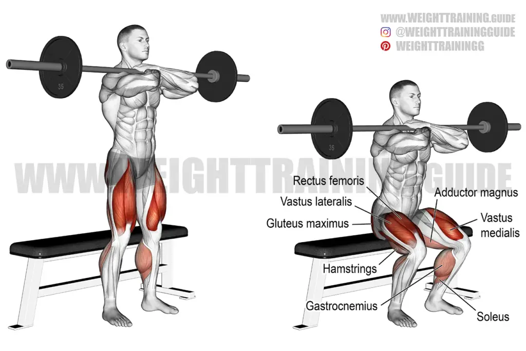 Vertical leg crunch exercise instructions and video | Weight Training Guide