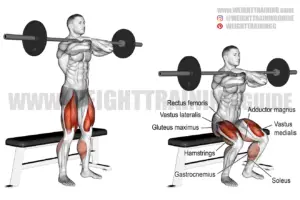 Barbell front box squat instructions and videos | Weight Training Guide