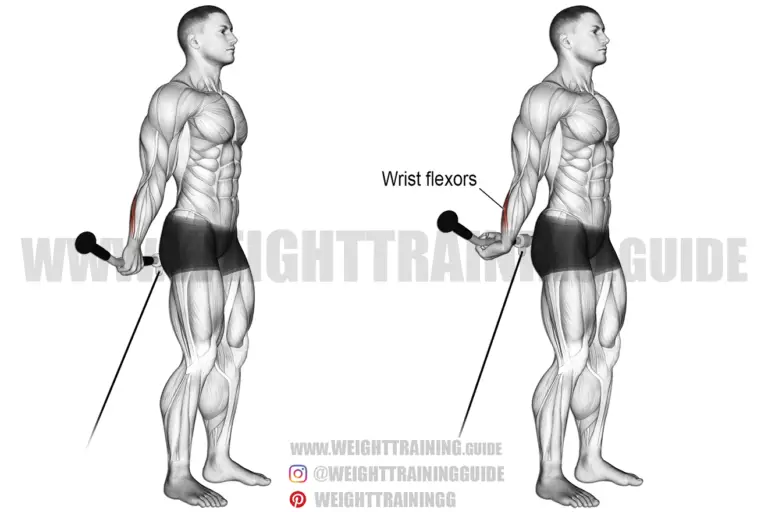 Behind-the-back cable wrist curl