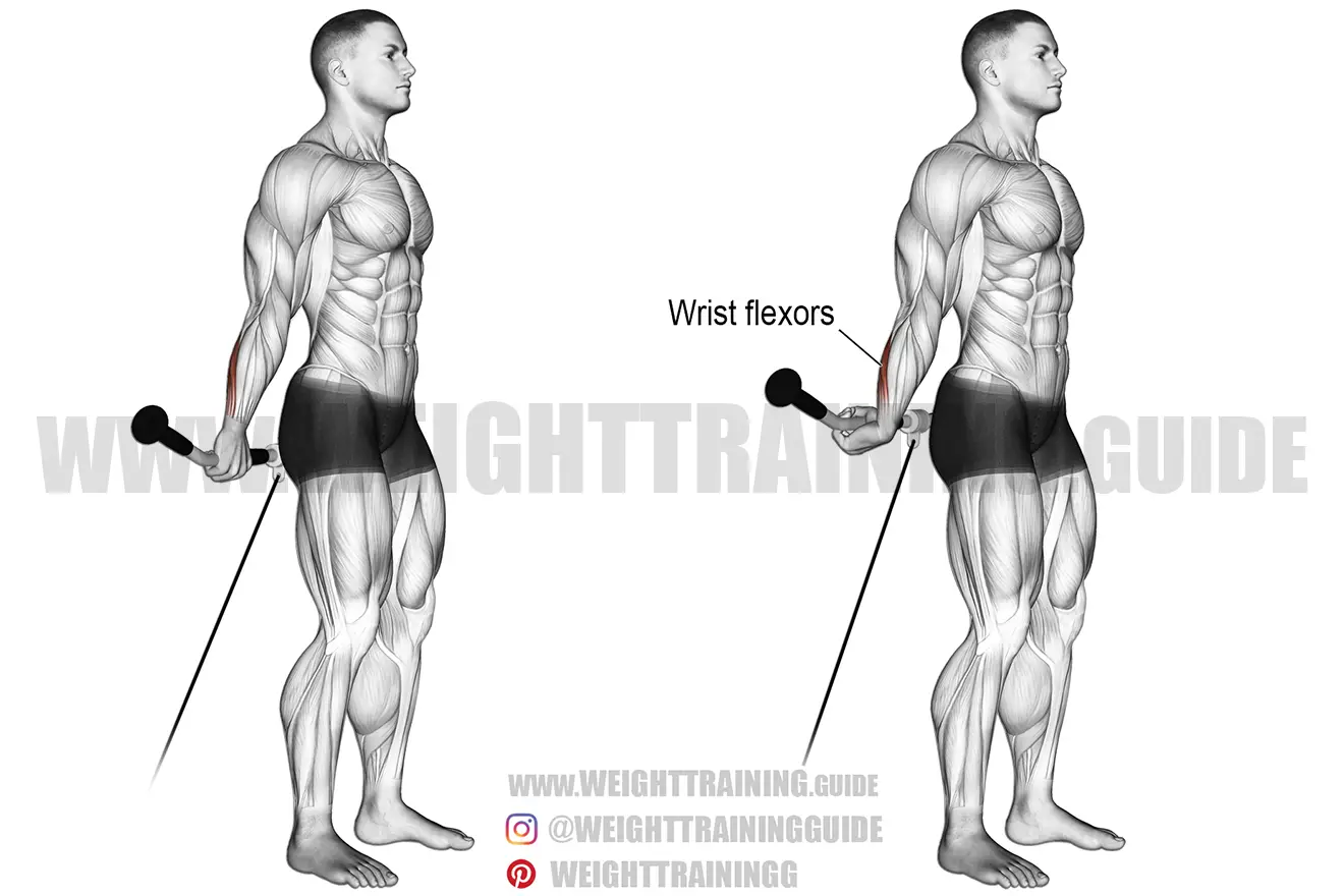 Behind-the-back cable wrist curl exercise