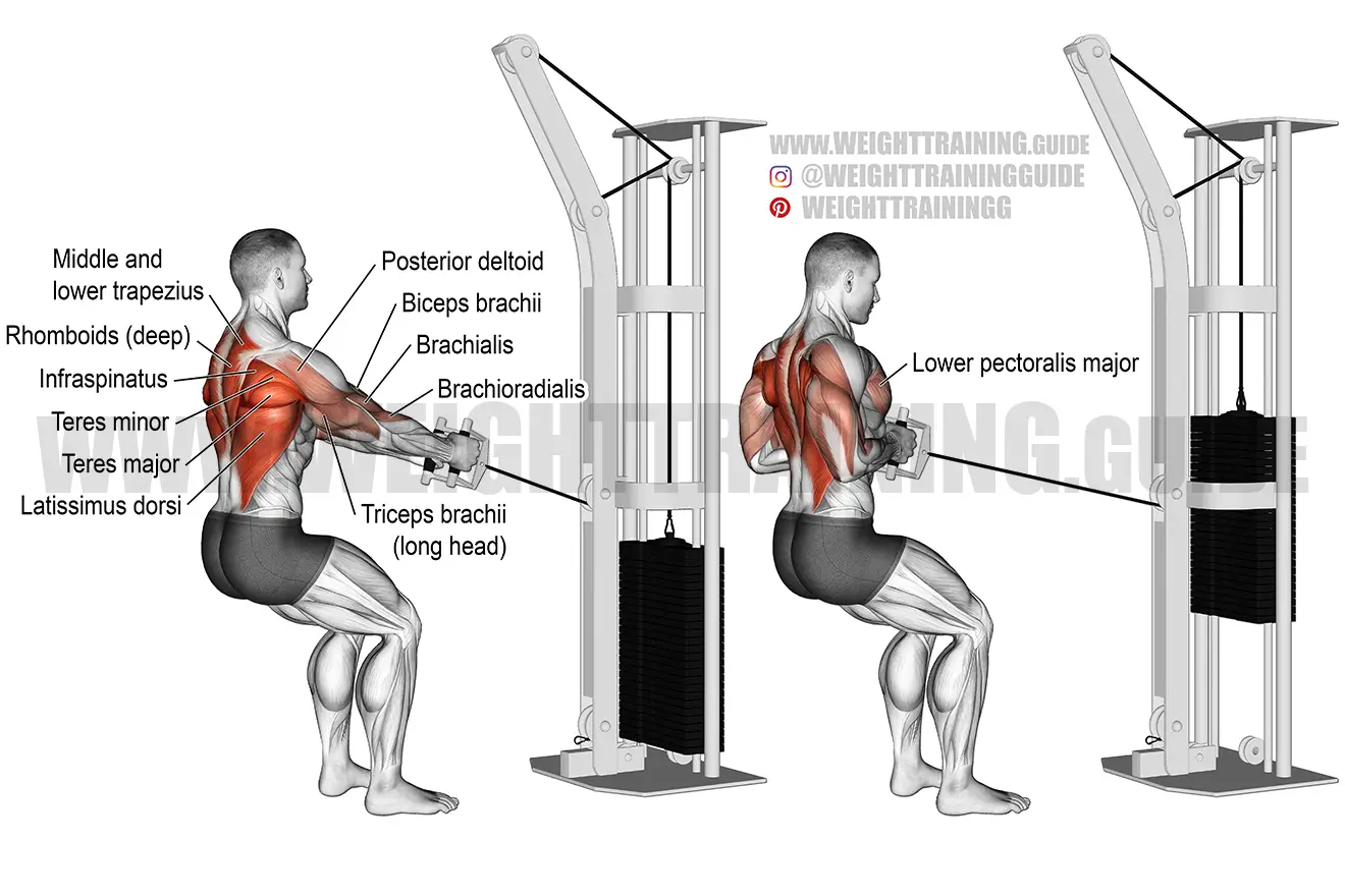 Standing cable row exercise