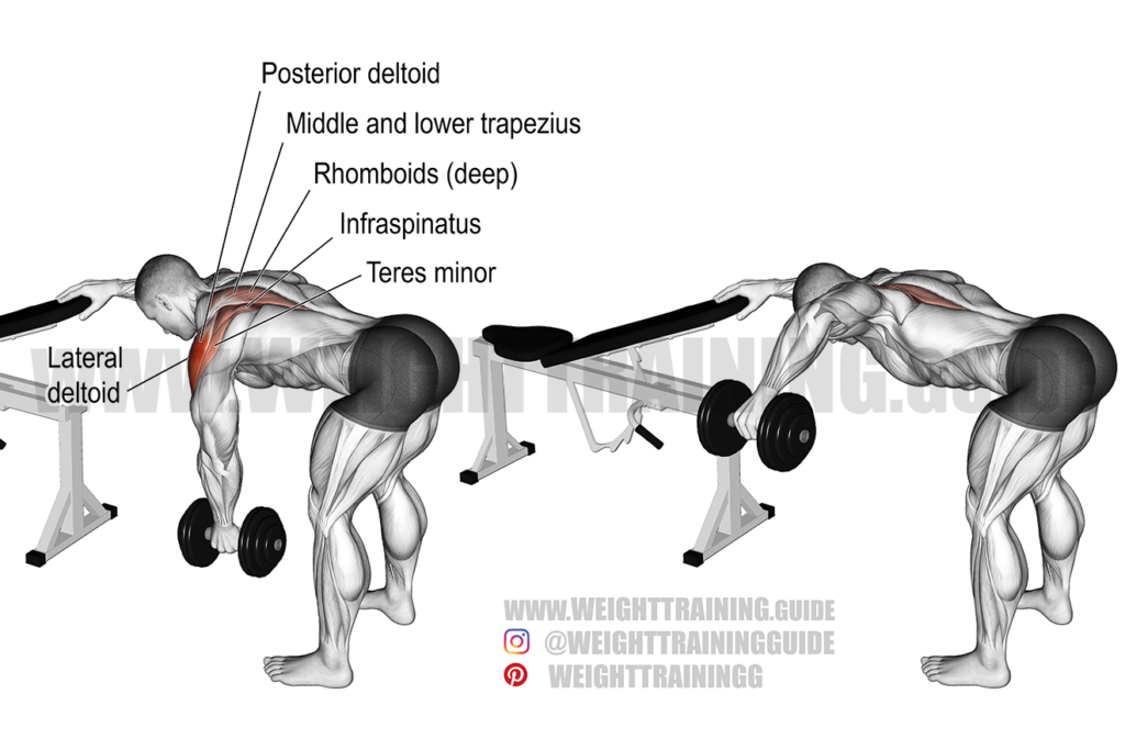 Best back exercises for lower, middle, and upper back! - Page 4 of 9